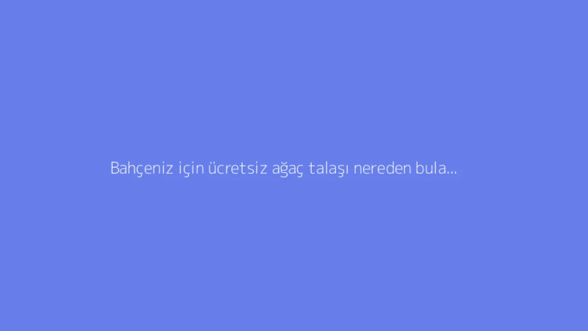 Bahçeniz için ücretsiz ağaç talaşı nereden bulabilirsiniz?