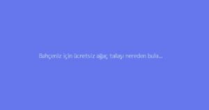 Bahçeniz için ücretsiz ağaç talaşı nereden bulabilirsiniz?