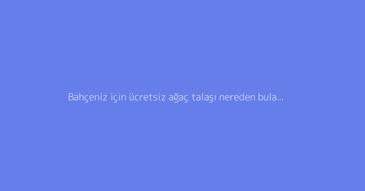 Bahçeniz için ücretsiz ağaç talaşı nereden bulabilirsiniz?