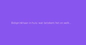 Bidsprinkhaan in huis: wat betekent het en welke symboliek heeft het?