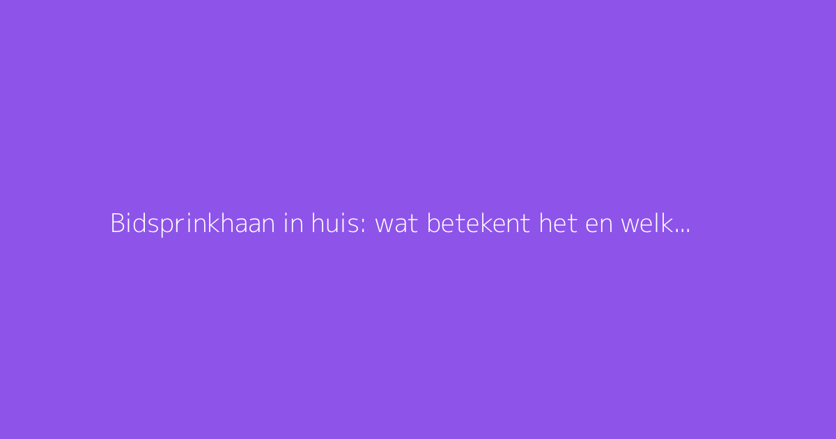 Bidsprinkhaan in huis: wat betekent het en welke symboliek heeft het?