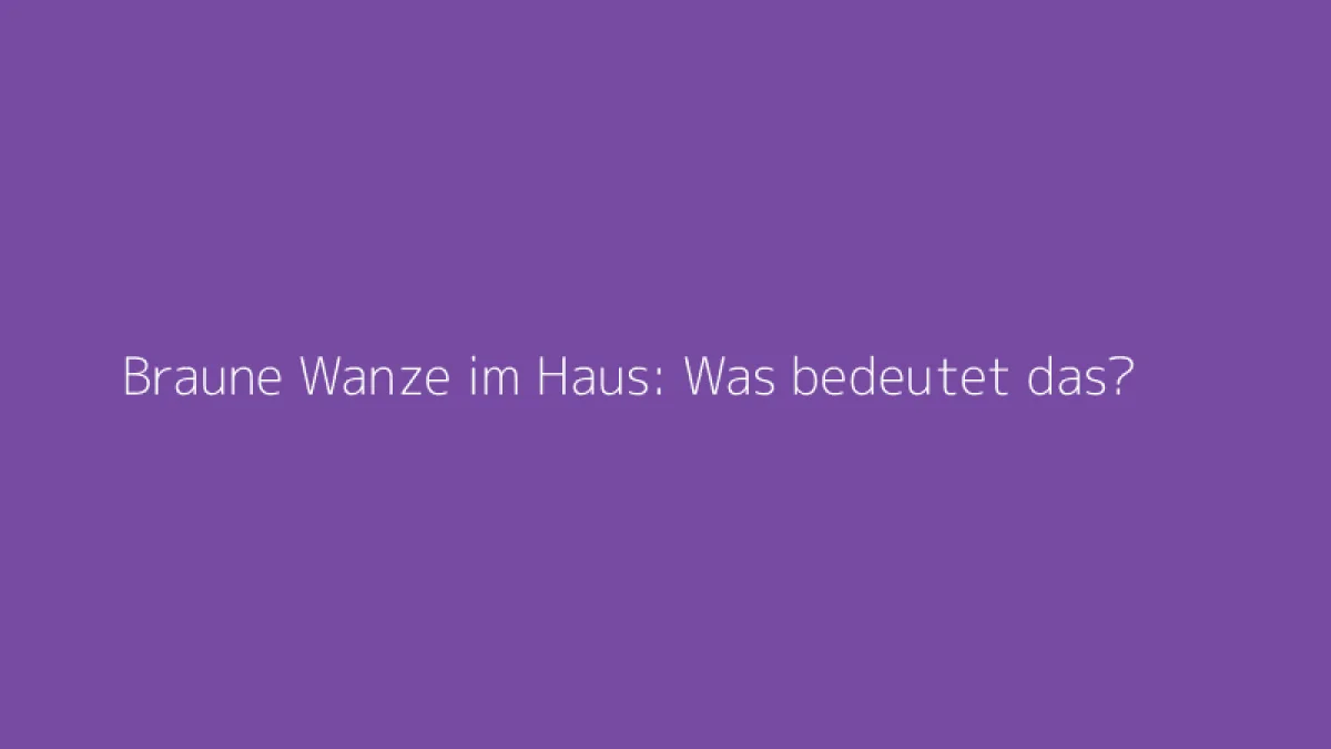Braune Wanze im Haus: Was bedeutet das?