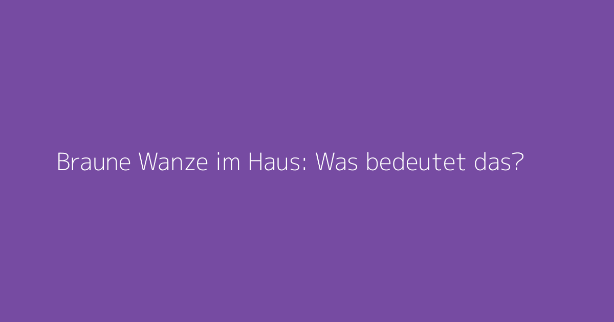Braune Wanze im Haus: Was bedeutet das?