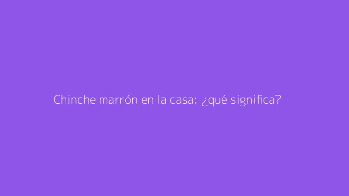 Chinche marrón en la casa: ¿qué significa?