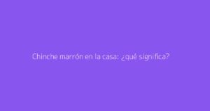 Chinche marrón en la casa: ¿qué significa?