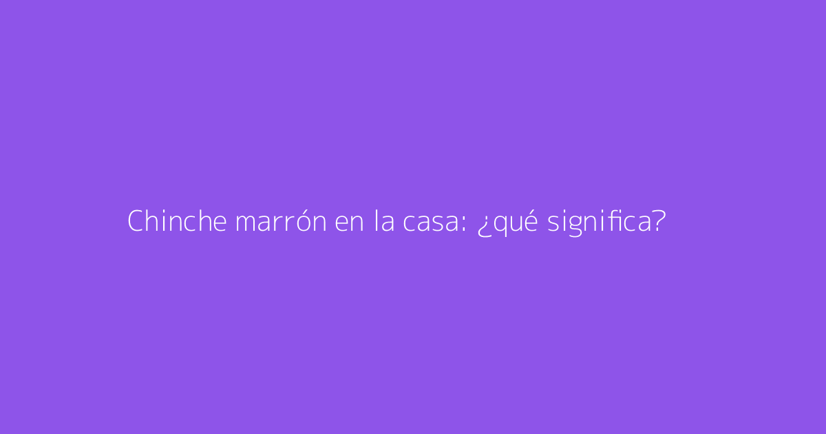 Chinche marrón en la casa: ¿qué significa?