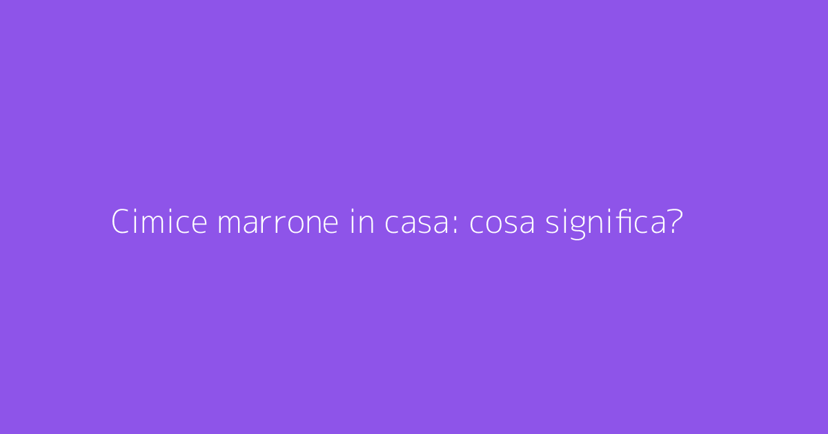 Cimice marrone in casa: cosa significa?