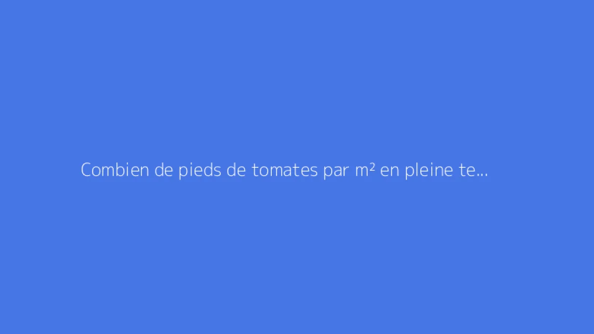 Combien de pieds de tomates par m² en pleine terre ou serre