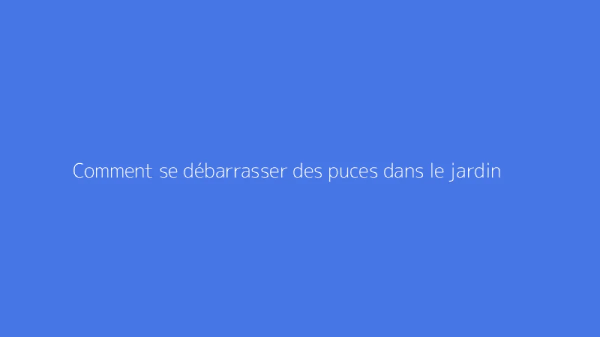 Comment se débarrasser des puces dans le jardin