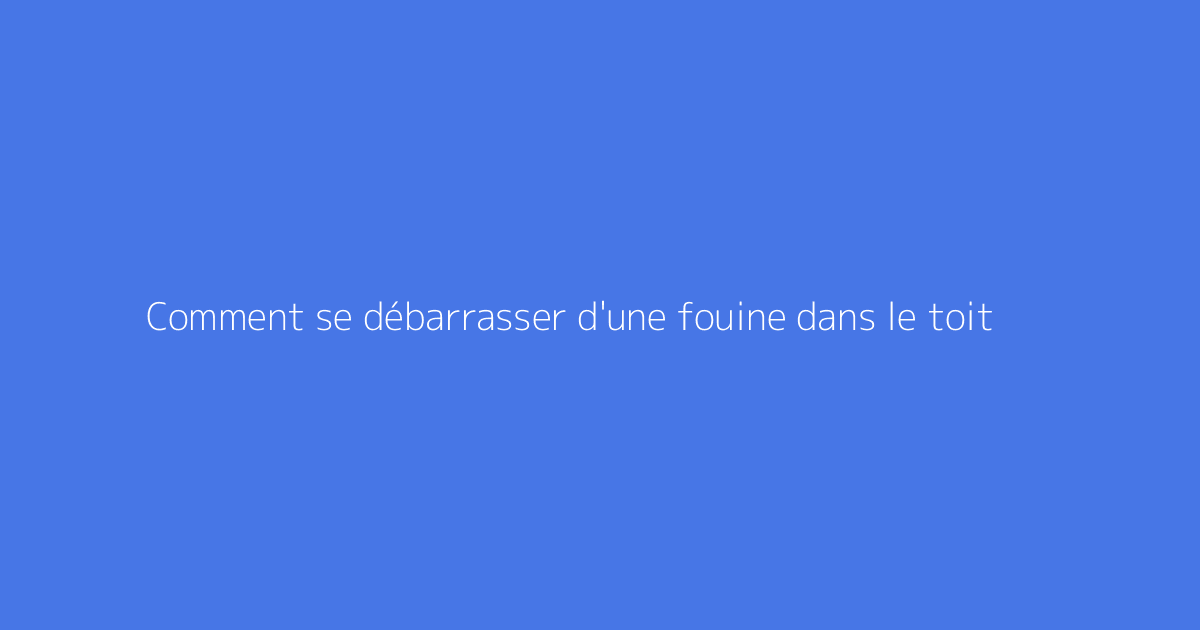 Comment se débarrasser d'une fouine dans le toit
