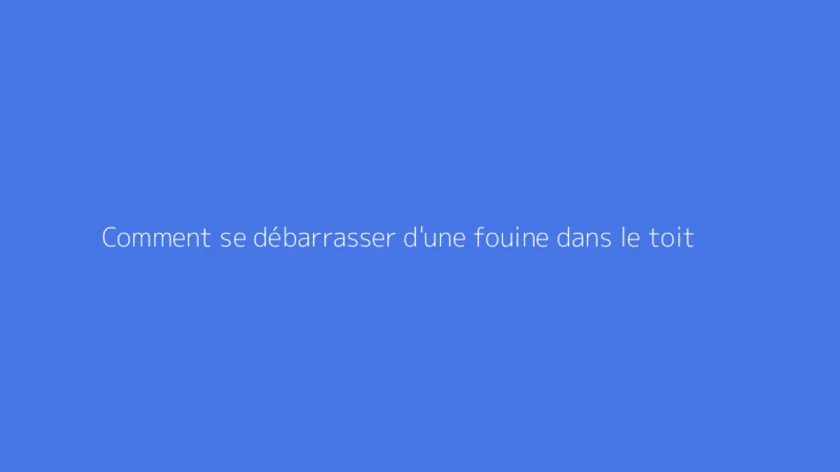 Comment se débarrasser d'une fouine dans le toit