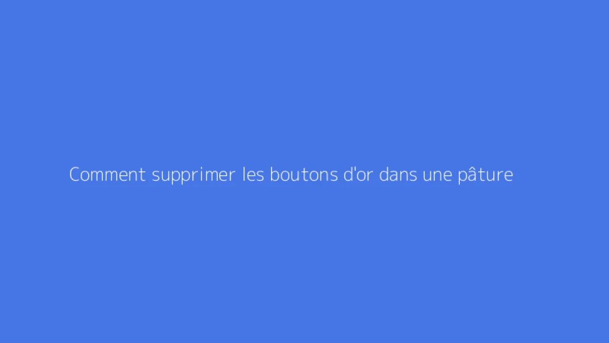 Comment supprimer les boutons d'or dans une pâture