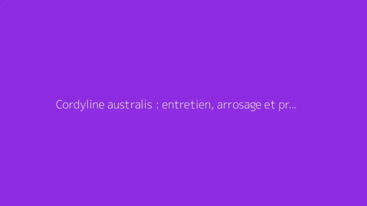 Cordyline australis : entretien, arrosage et protection contre le gel