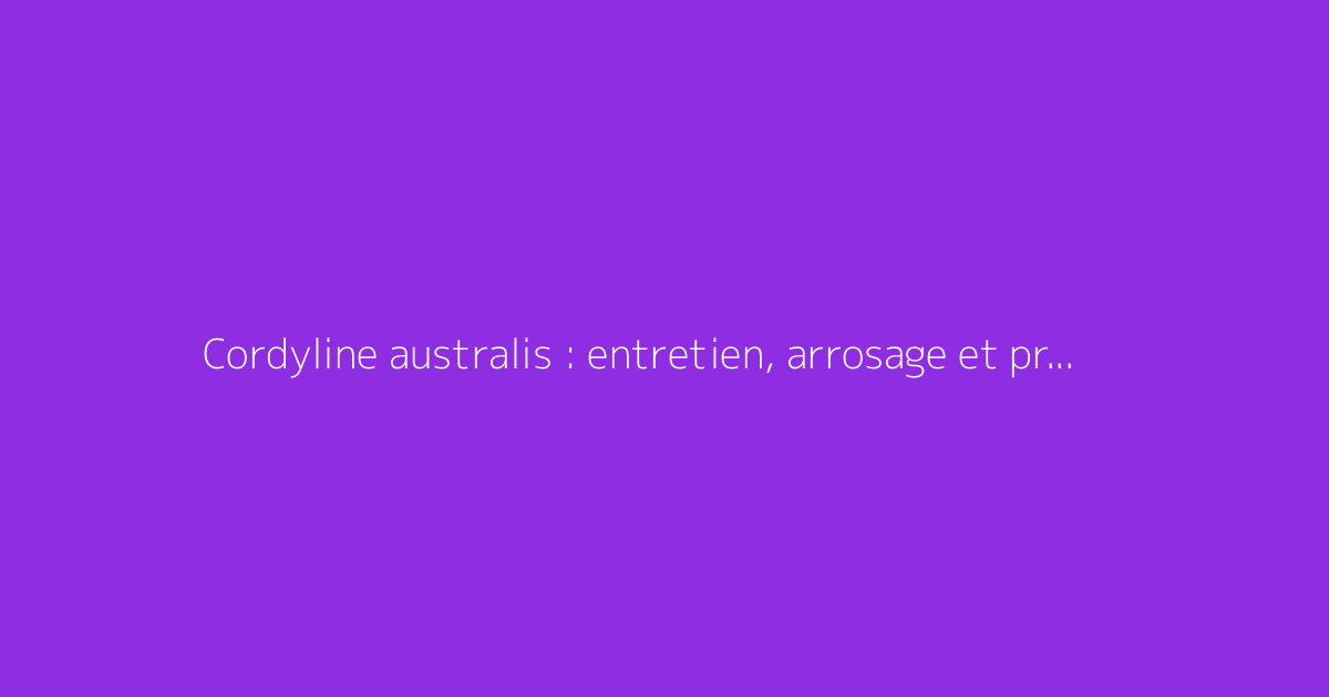 Cordyline australis : entretien, arrosage et protection contre le gel