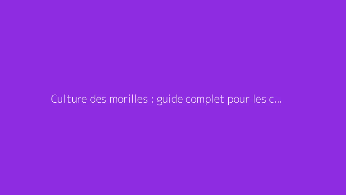 Culture des morilles : guide complet pour les cultiver