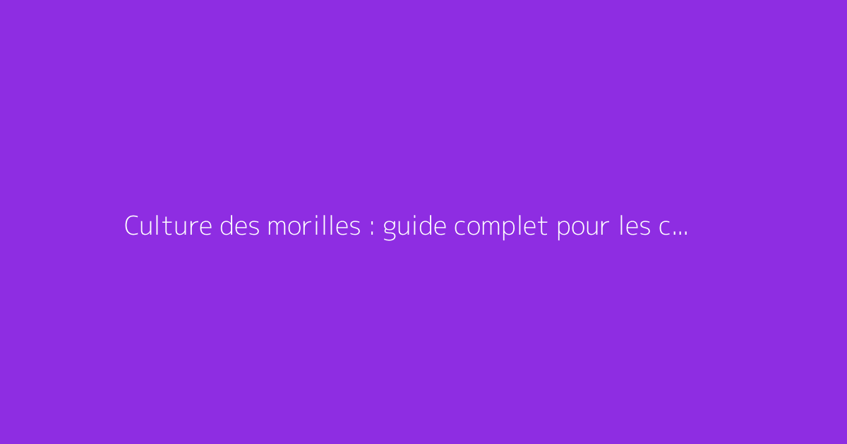 Culture des morilles : guide complet pour les cultiver
