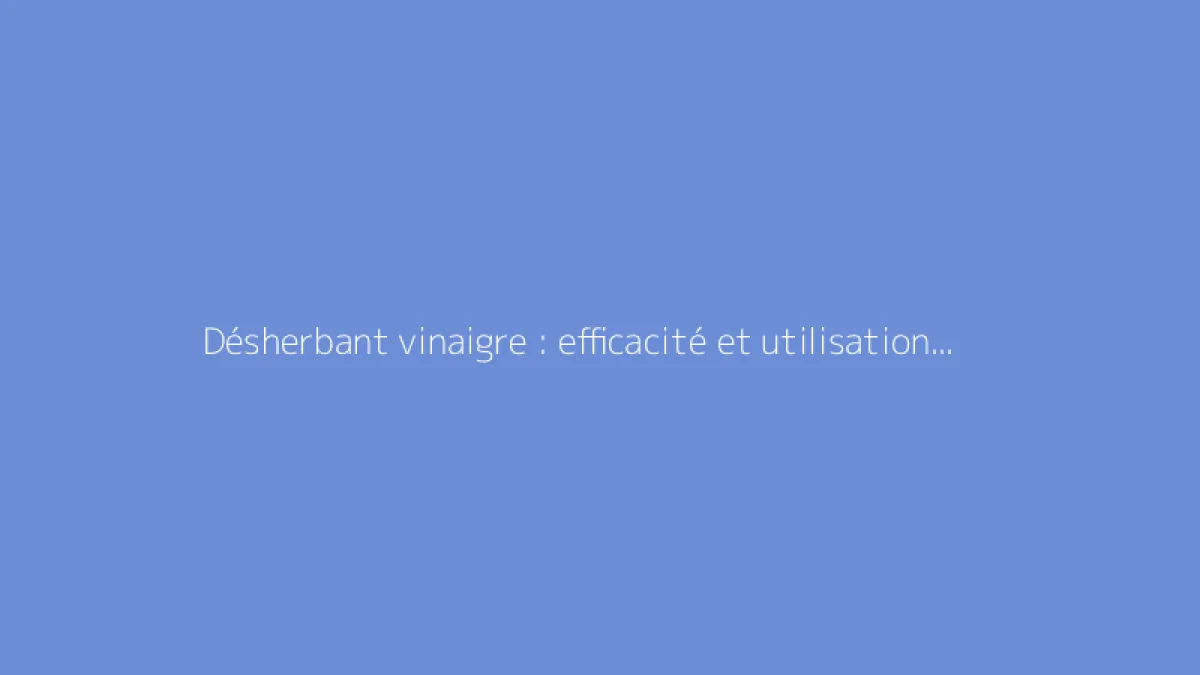 Désherbant vinaigre : efficacité et utilisation au jardin