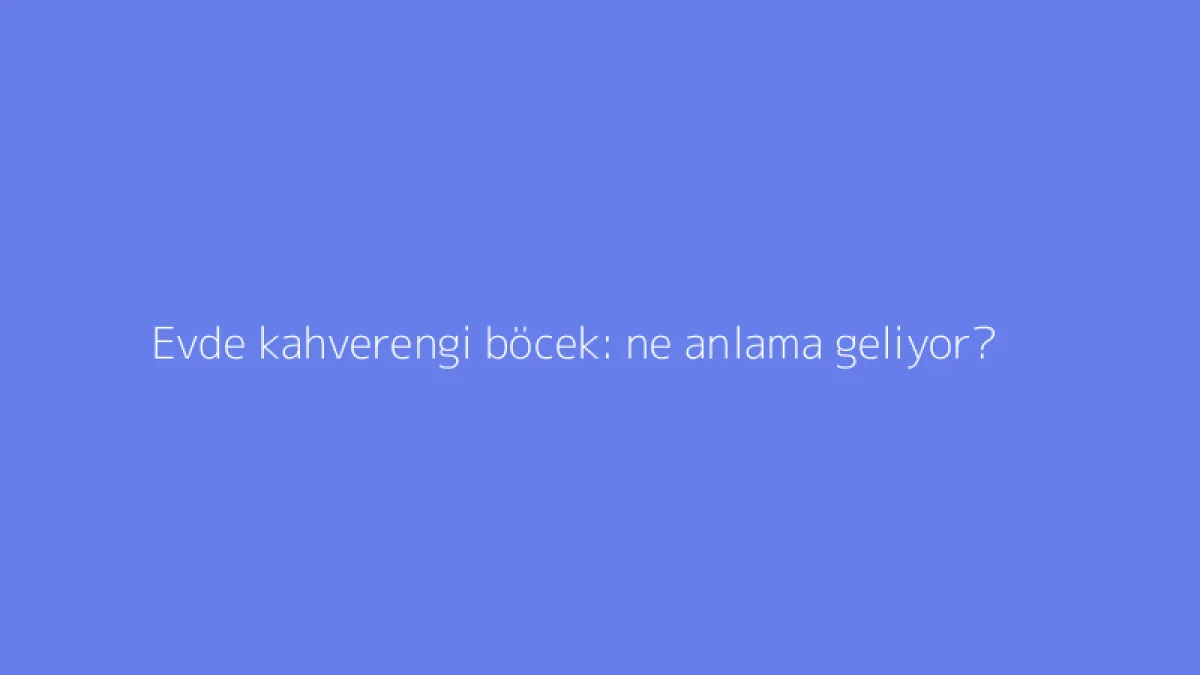 Evde kahverengi böcek: ne anlama geliyor?