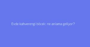 Evde kahverengi böcek: ne anlama geliyor?