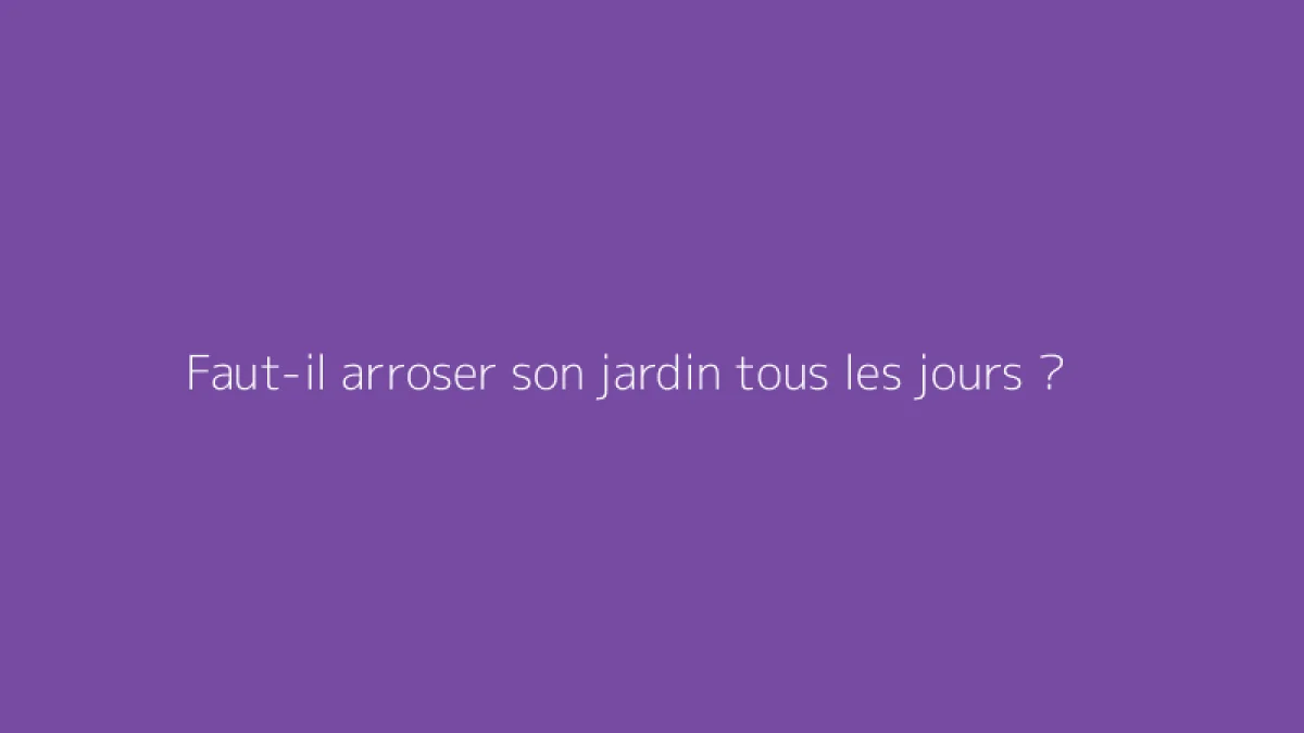 Faut-il arroser son jardin tous les jours ?