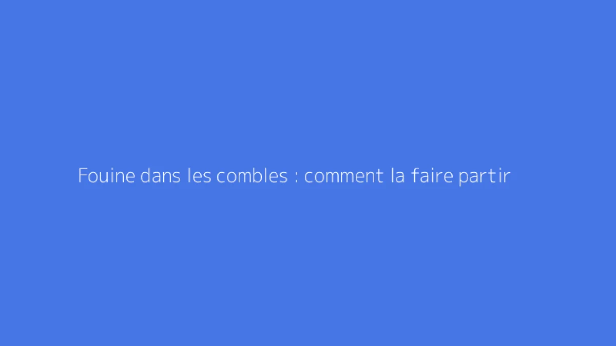 Fouine dans les combles : comment la faire partir