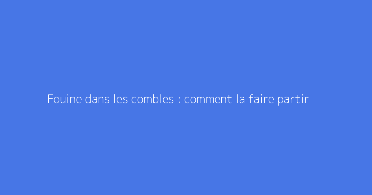 Fouine dans les combles : comment la faire partir