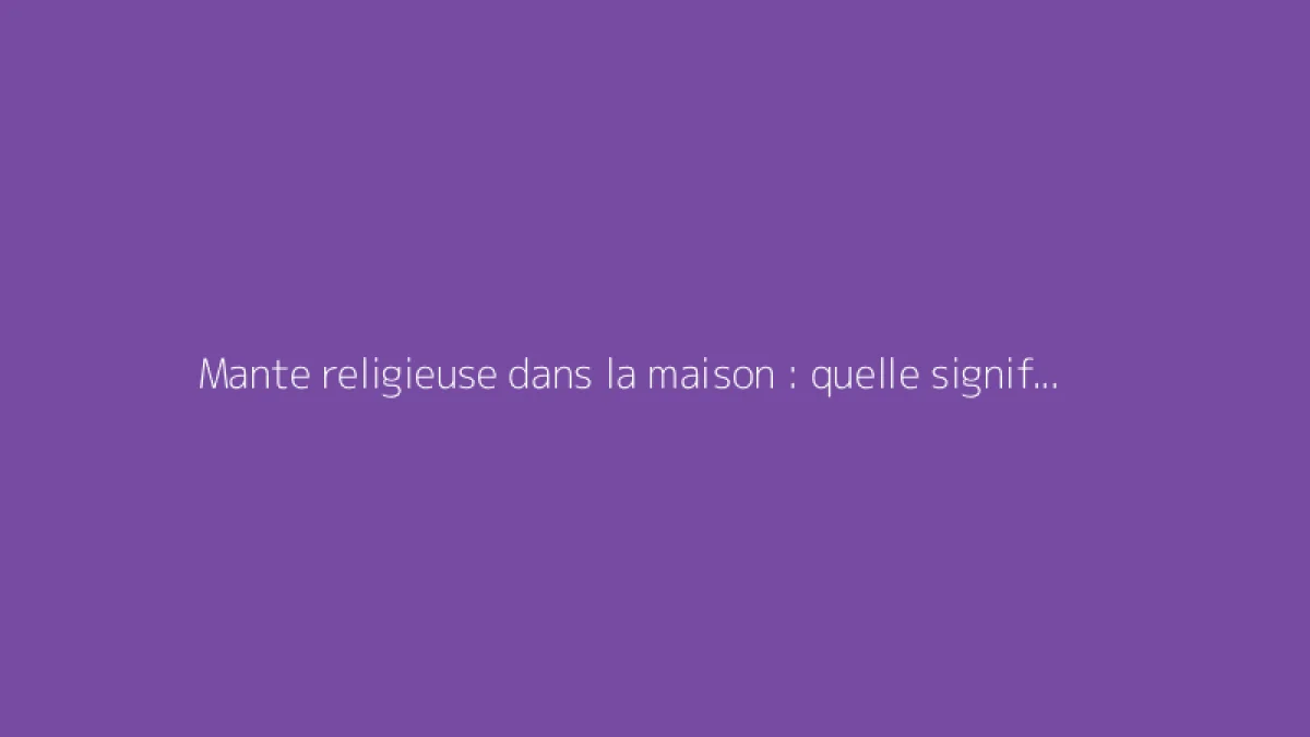 Mante religieuse dans la maison : quelle signification et quel symbolisme ?