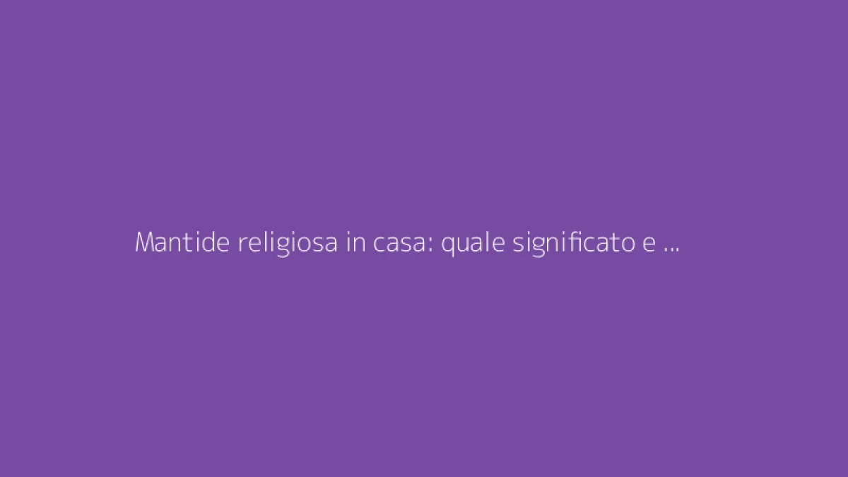 Mantide religiosa in casa: quale significato e simbolismo?