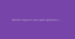 Mantide religiosa in casa: quale significato e simbolismo?