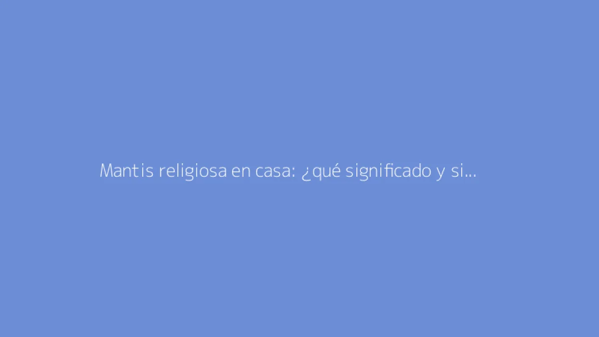 Mantis religiosa en casa: ¿qué significado y simbolismo tiene?