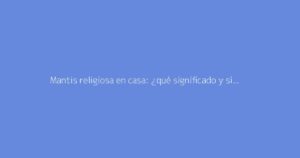 Mantis religiosa en casa: ¿qué significado y simbolismo tiene?