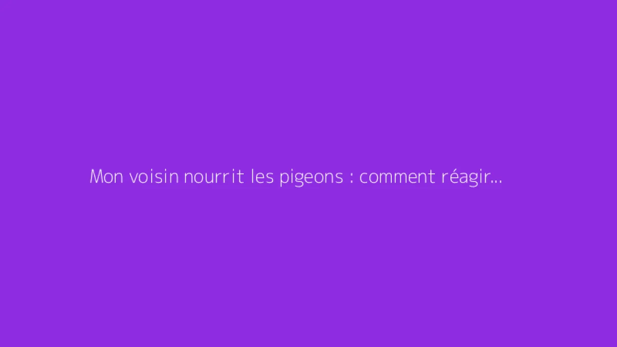 Mon voisin nourrit les pigeons : comment réagir efficacement