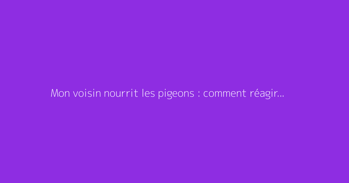 Mon voisin nourrit les pigeons : comment réagir efficacement