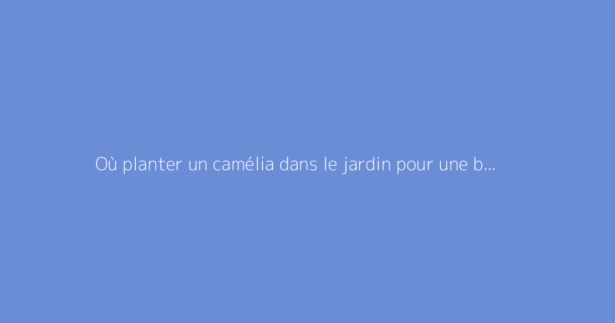 Où planter un camélia dans le jardin pour une belle floraison