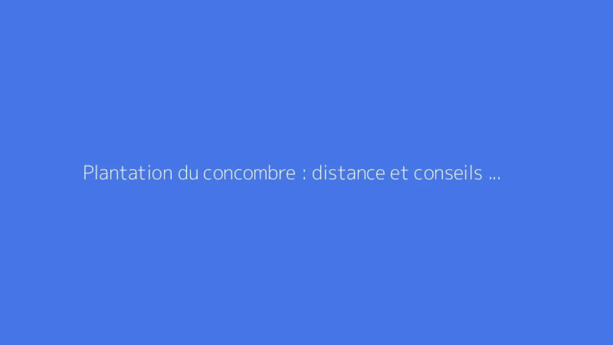 Plantation du concombre : distance et conseils de culture