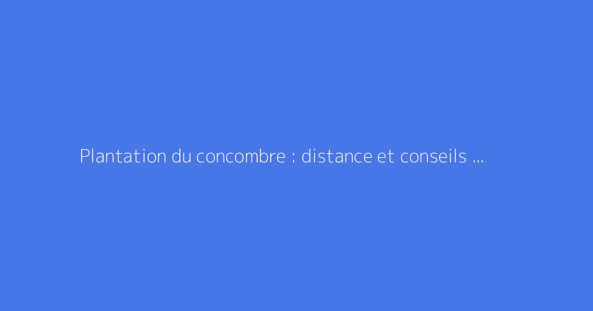 Plantation du concombre : distance et conseils de culture