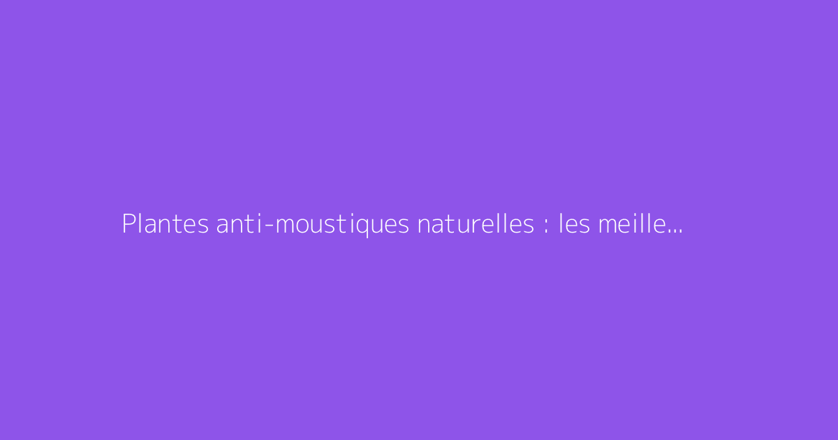 Plantes anti-moustiques naturelles : les meilleures espèces