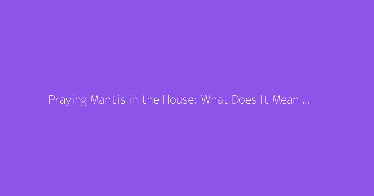 Praying Mantis in the House: What Does It Mean and Symbolize?