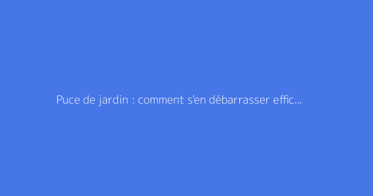 Puce de jardin : comment s'en débarrasser efficacement