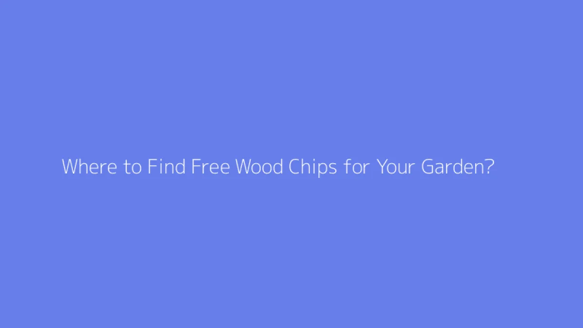 Where to Find Free Wood Chips for Your Garden?