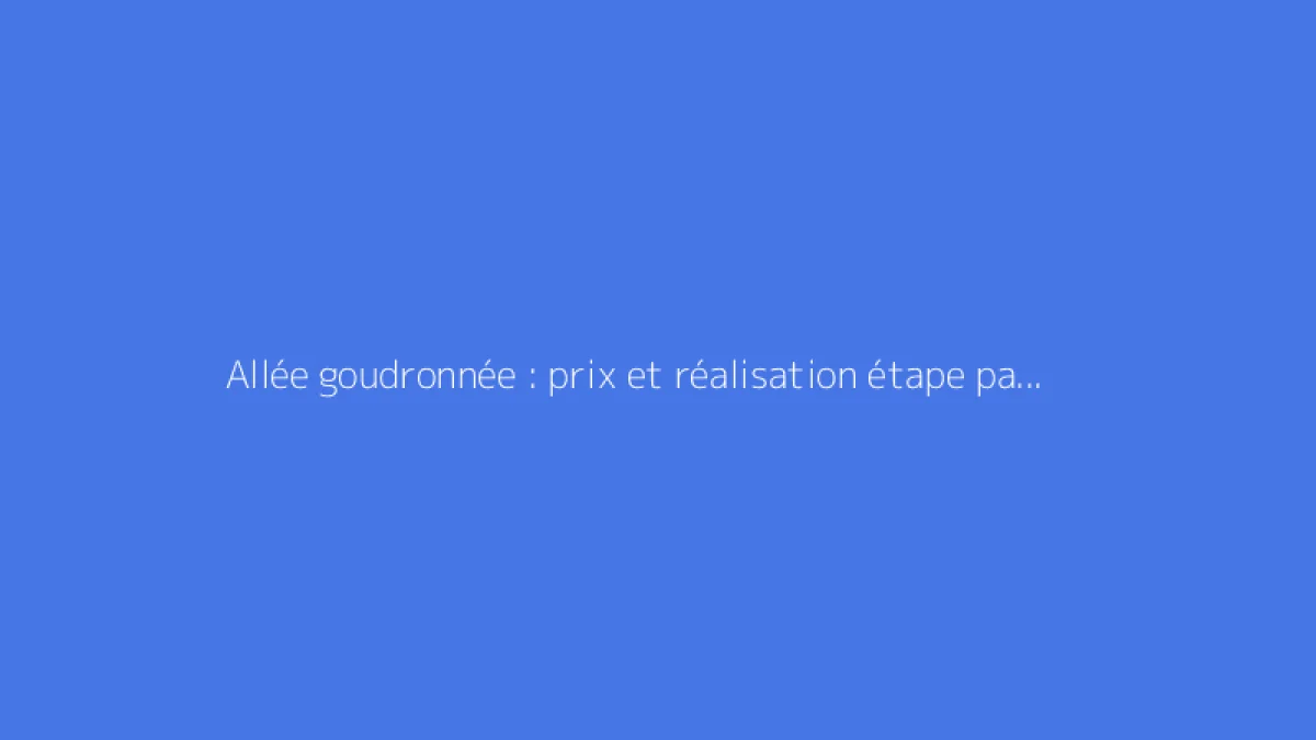 Allée goudronnée : prix et réalisation étape par étape
