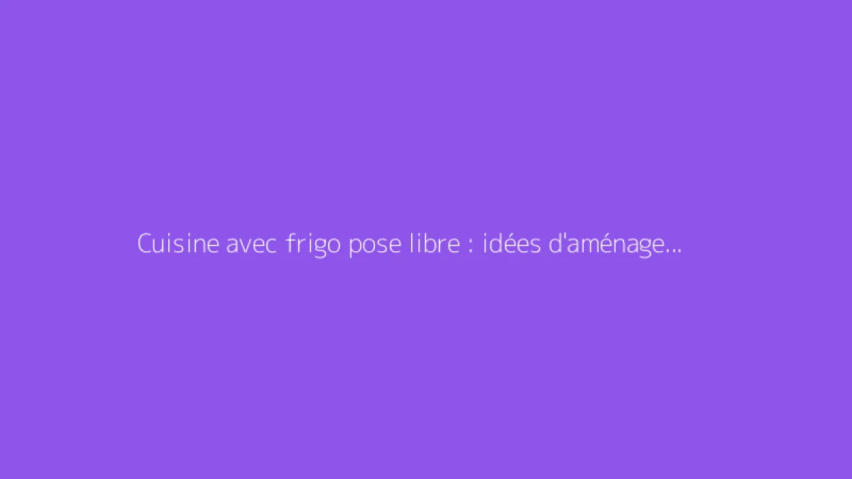 Cuisine avec frigo pose libre : idées d'aménagement pratique