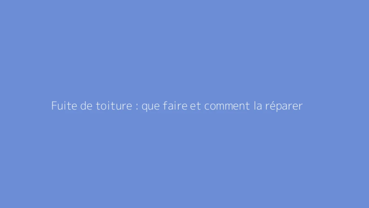 Fuite de toiture : que faire et comment la réparer